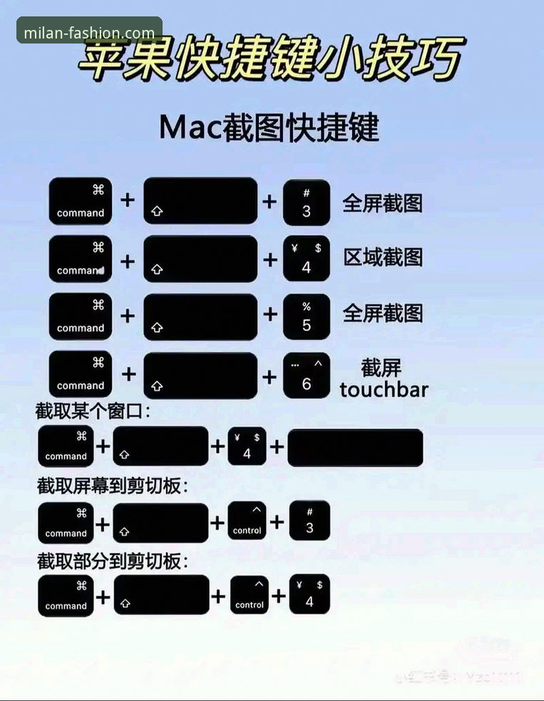 AC米兰官网使用技巧教程：从入门到精通正版下载与验证